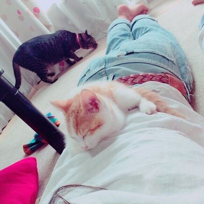 aoi❁