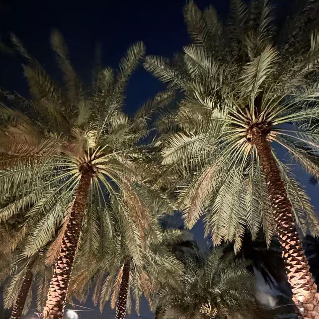 طخطوخ
