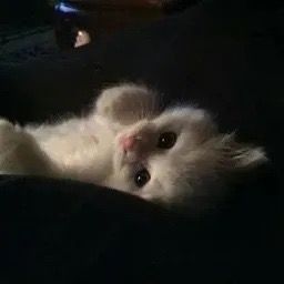 ZZZ