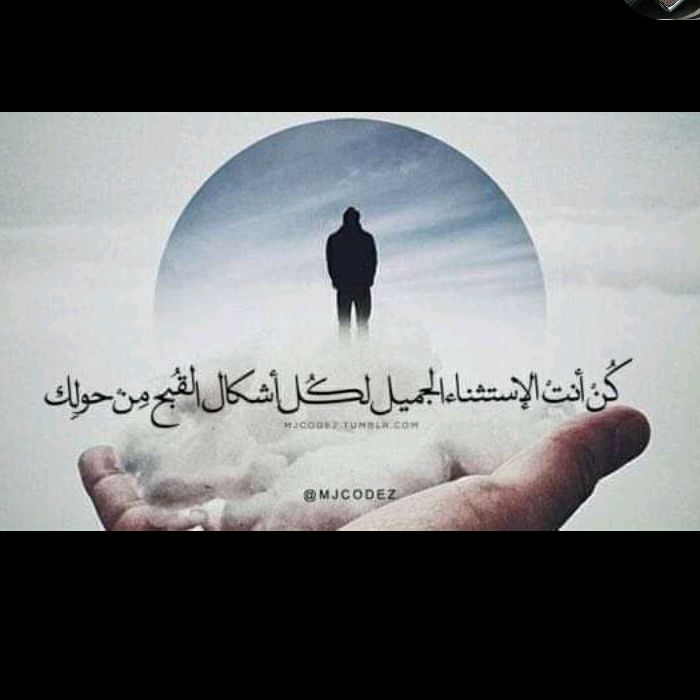 تنقية المحتوى