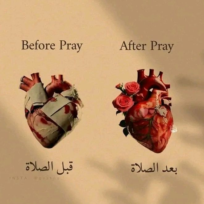 أرح_قلبك🕋🤍
