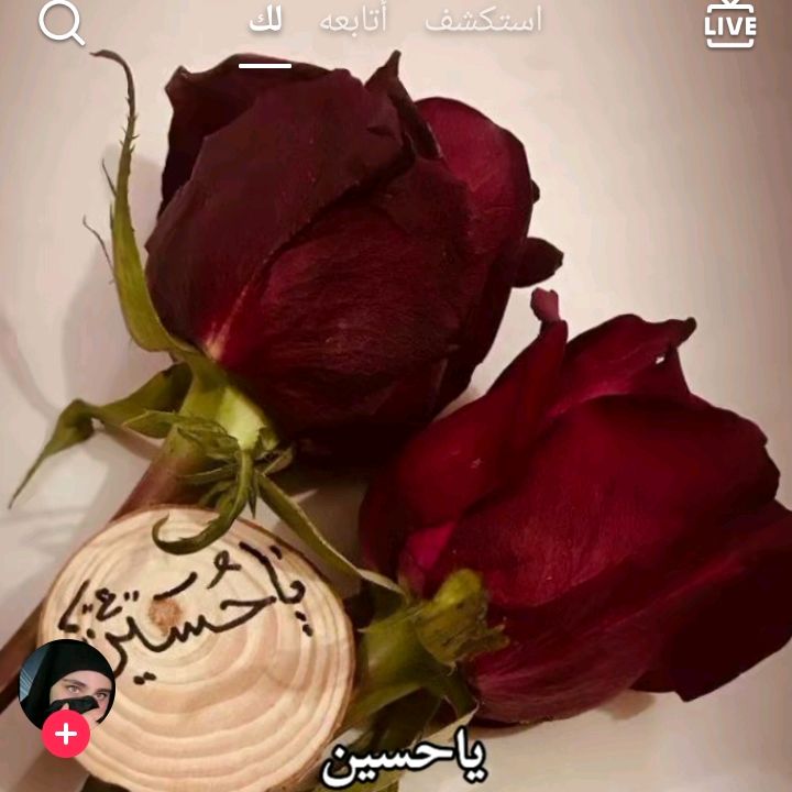 زهره الحسين