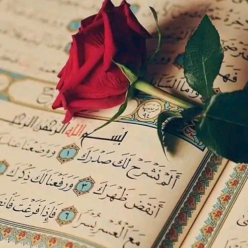 ꧁🌺صانعة المحتوى🌺꧂
