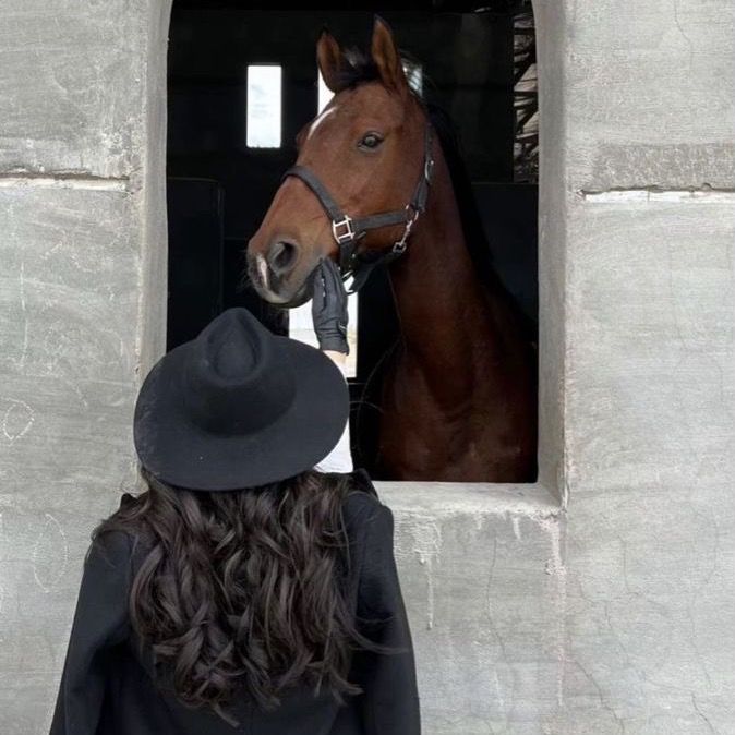 ✨ النـووري , Alnory ✨