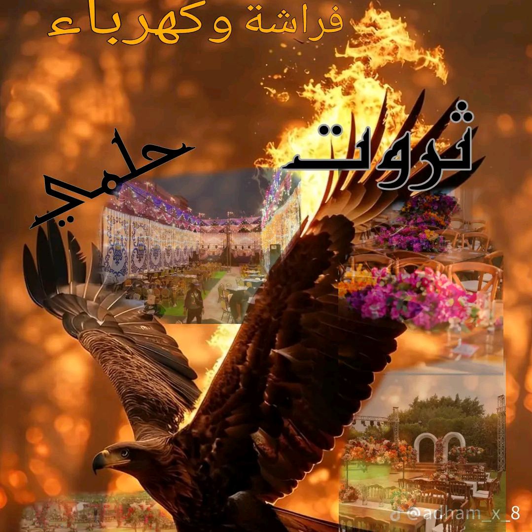 شركه 🇪🇬 🦅 (ثروت حلمي)🇧🇷🦅