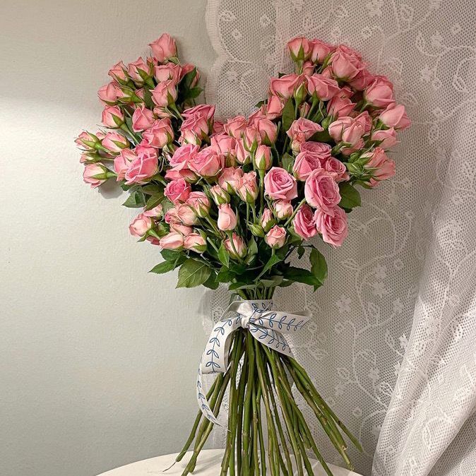 قمر 🎀 تبوك مطاعم وكافيهات