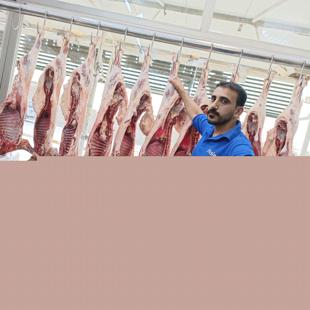 حيدر المسعودي