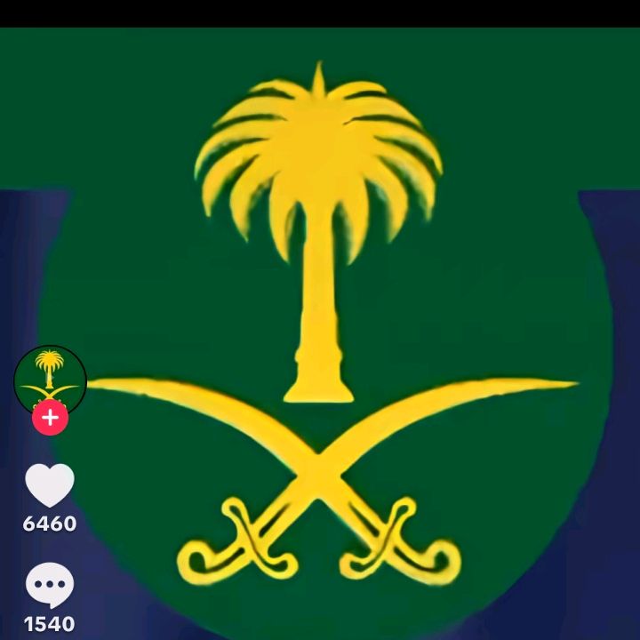 منصة السعودية