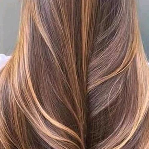 حياة خبيرة شعر لجميع التساريح